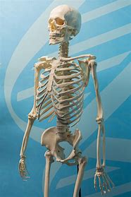 Skeleton in Your Closet